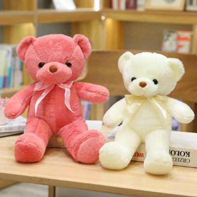 ours-en-peluche-amis-pour-la-vie